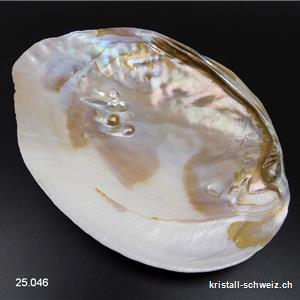Coquillage avec perles dans la nacre 18 à 19 cm. Taille XL
