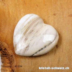 Herz versteinerte Holz 4 cm