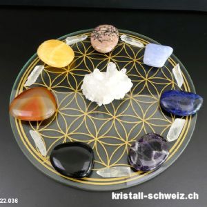 Chakra-Rad Blume des Lebens mit Lemurian Bergkristall Spitzen. Unikat