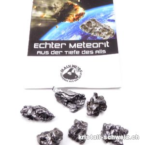 Meteorit Campo del Cielo Argentinien 1,5 bis 2 cm / 7,5 bis 9,5 Gramm