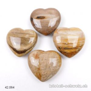 Herz versteinerte Holz 4 cm