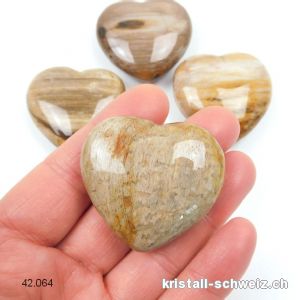 Herz versteinerte Holz 4 cm