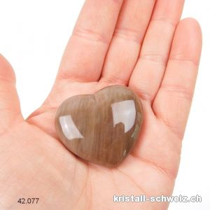 Herz versteinerte Holz 4 cm. Unikat