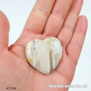 Herz versteinerte Holz 4 cm