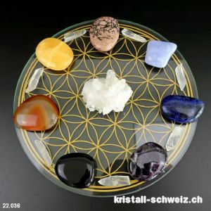 Chakra-Rad Blume des Lebens mit Lemurian Bergkristall Spitzen. Unikat