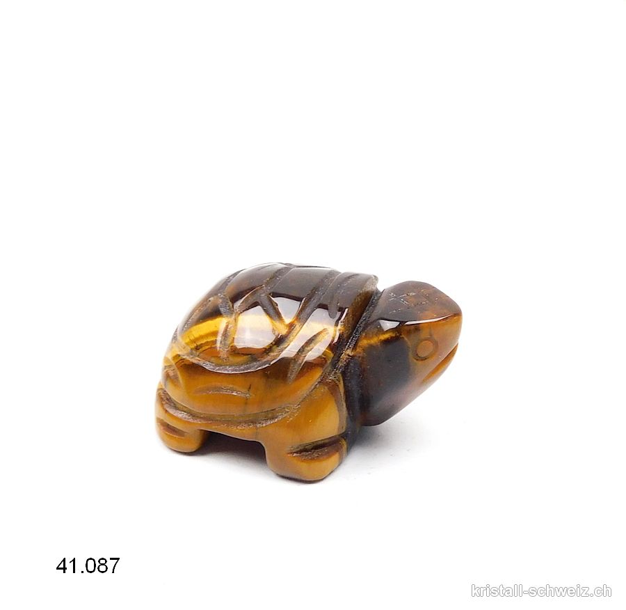 Schildkröte Tigerauge 4 cm
